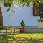 Assos * Коинира