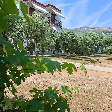 公寓 Assos 基尼拉