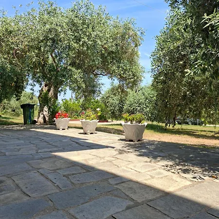Assos *