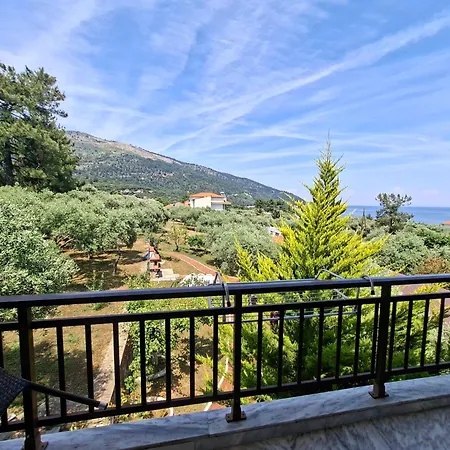 Assos 基尼拉