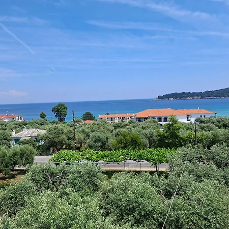 Assos * 基尼拉