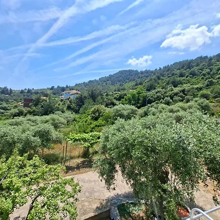 Assos *
